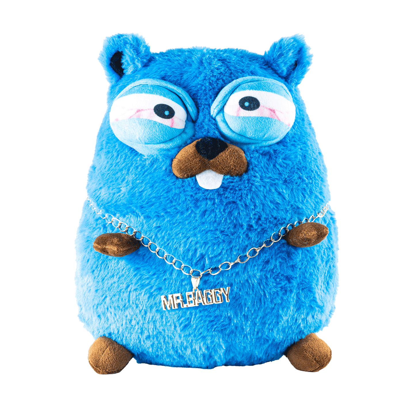 MR. BAGGY