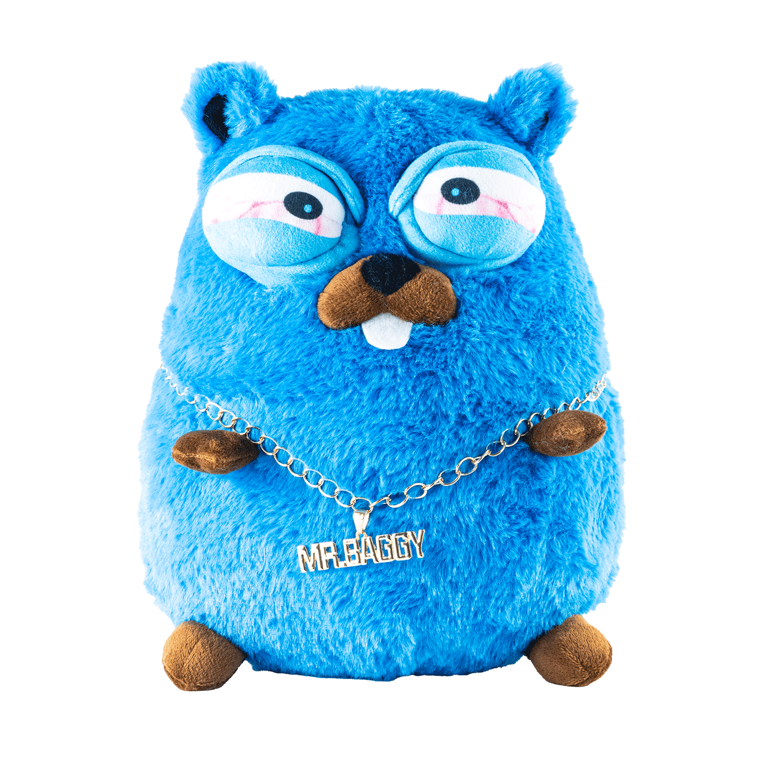 MR. BAGGY