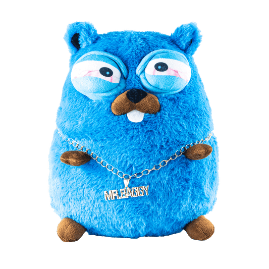 MR. BAGGY